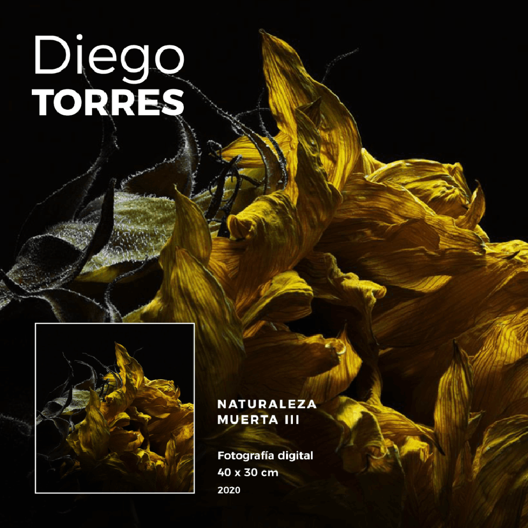 Diego Torres